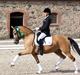 Tysk Sportspony Bodethal's Romy A-pony