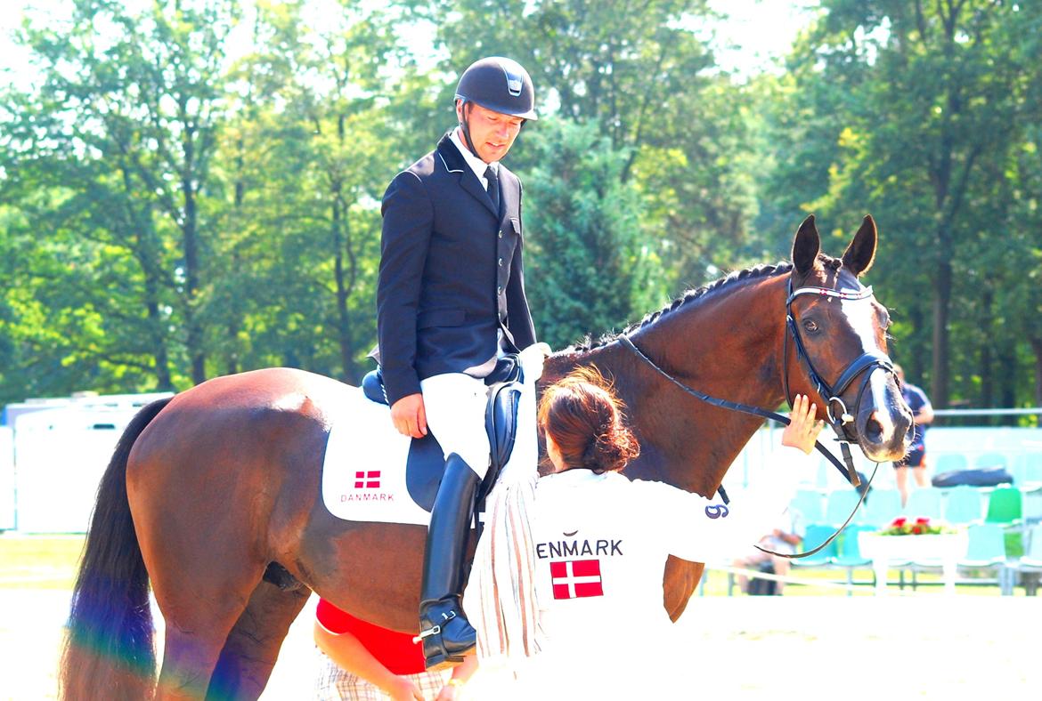 Dansk Varmblod De Negro-WI - Inden han skal på¨banen for Danmark i UVM billede 20