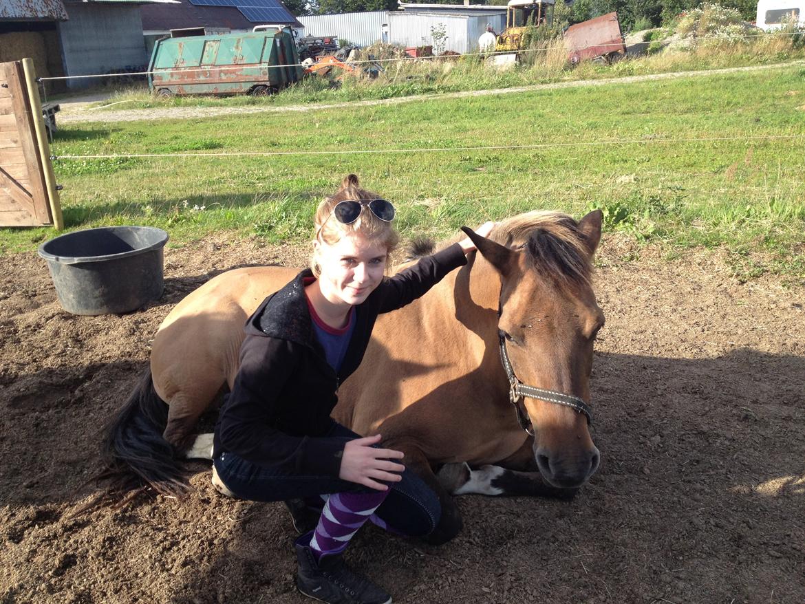 Anden særlig race Flicka <3 - Det øjeblik jeg havde ventet på i så lang tid, at kunne gå hen og nusse hende imens hun lå ned <3 billede 2