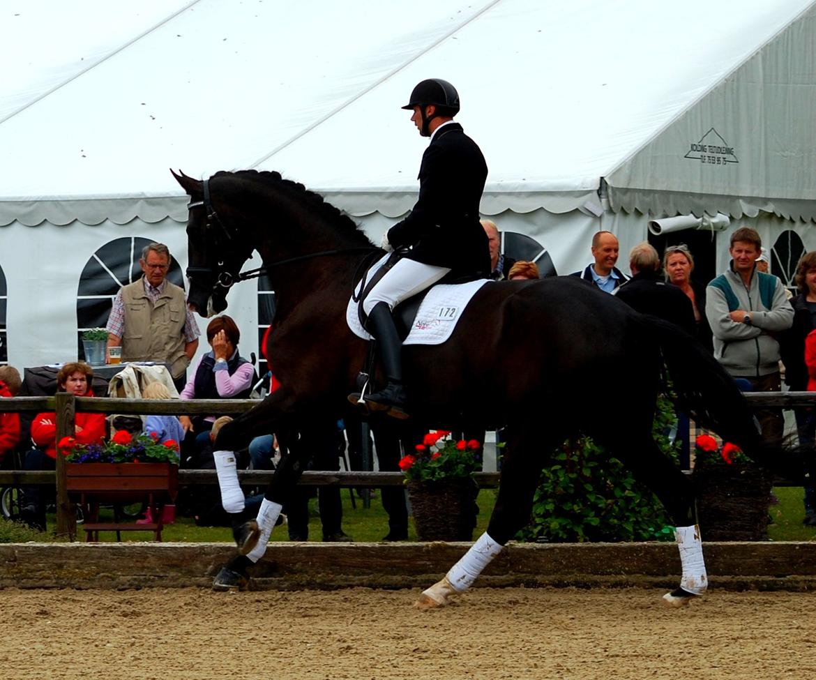 Dansk Varmblod Don Matcho-WI - Juli 2012 billede 10