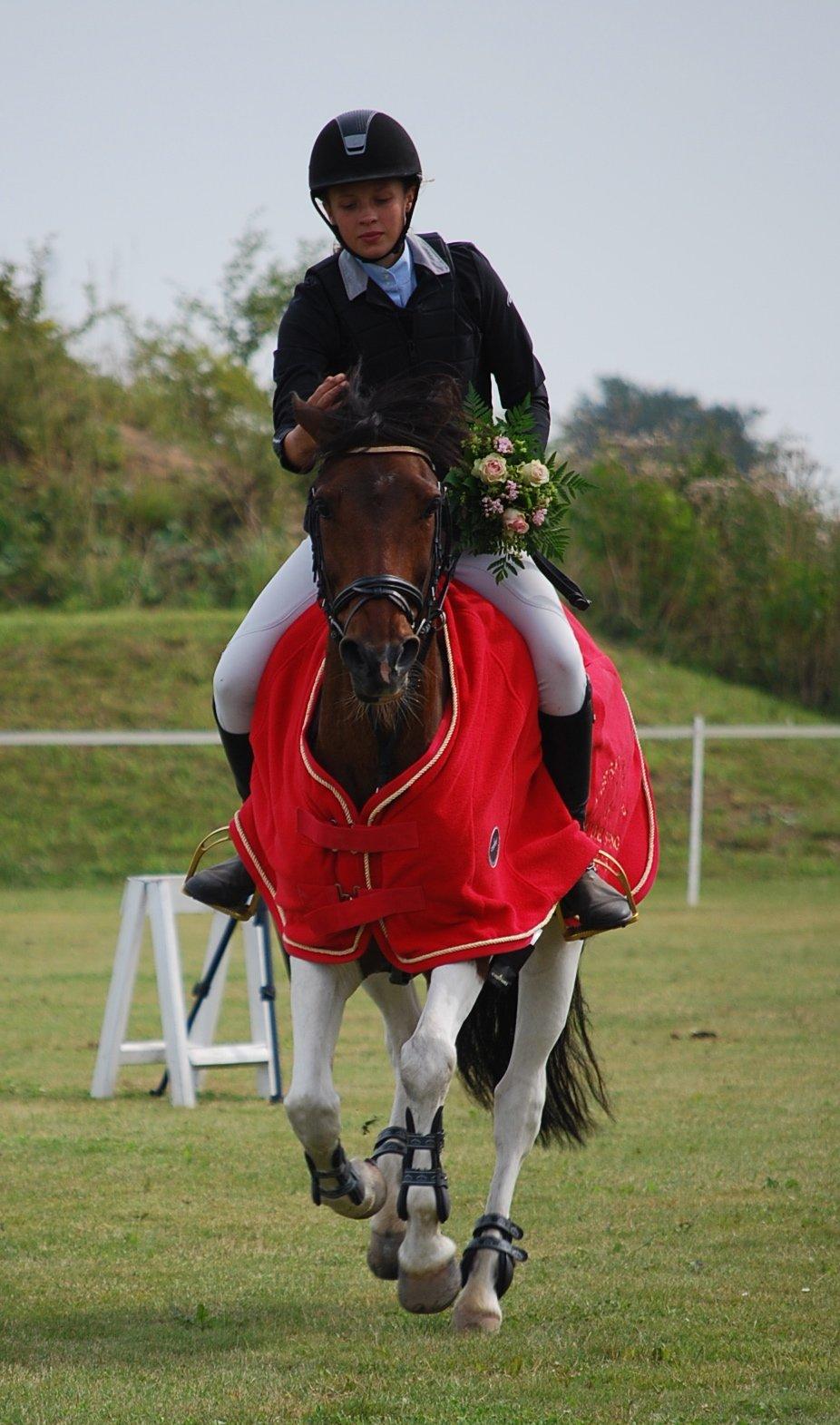 Pinto Munkeborgs Cloudy B-pony - Distriktmester 2012 - eneste fejlfrie!
Frederikke lånte ham lige<3 billede 1