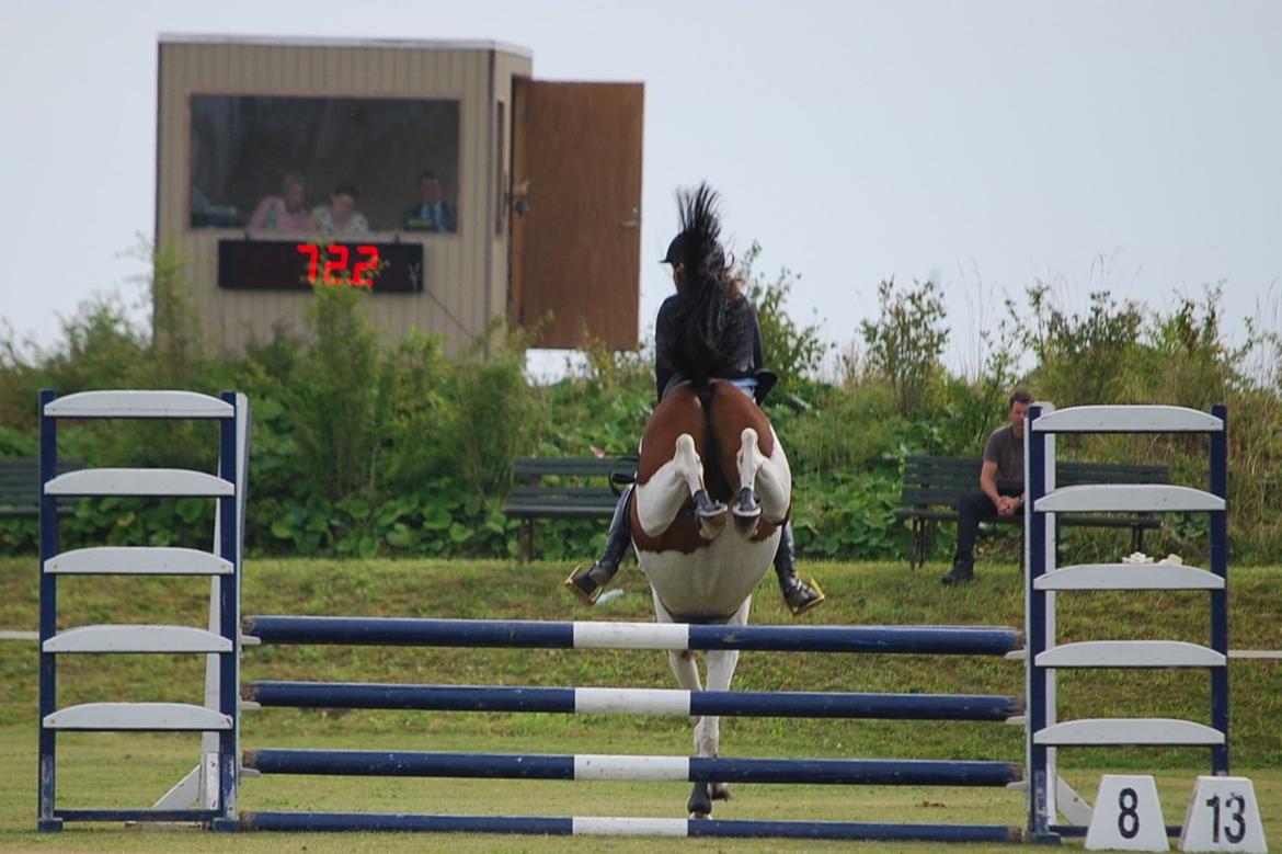 Pinto Munkeborgs Cloudy B-pony - Cloudys bagben er bare unikke! :-DDD billede 19