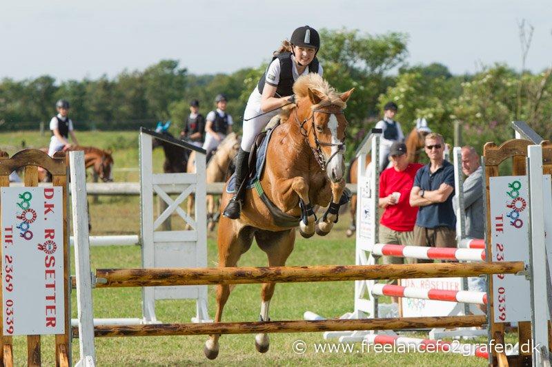 Anden særlig race Erantis - Verdens bedste pony!<3
2012 billede 16