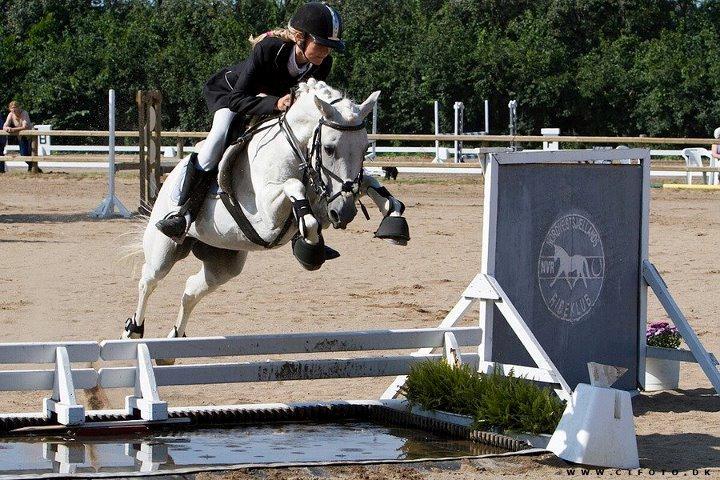 Anden særlig race Tøsen billede 1