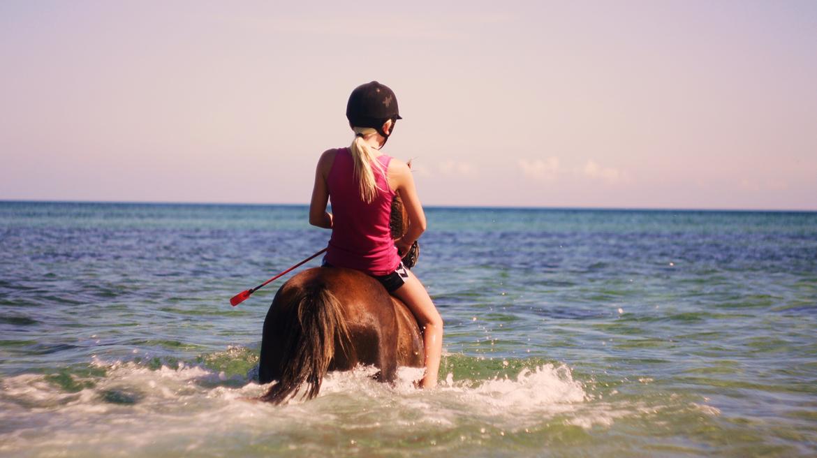 Welsh Mountain (sec A) Petra’s Dienie (Daisy) <3 - Sally & Daisy på vej ud i bølgerne :) billede 6