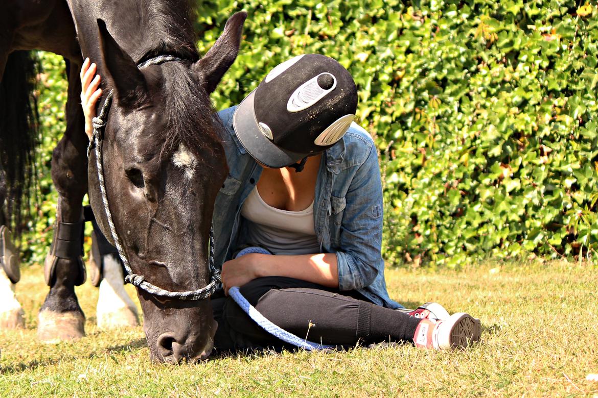 Oldenborg Felix - D.9/8-2012 næst-sidste gang red ham inden efterskolen, vi red hjem til mig og fik lidt gulerødder og hyggede lidt :-)<3 billede 19