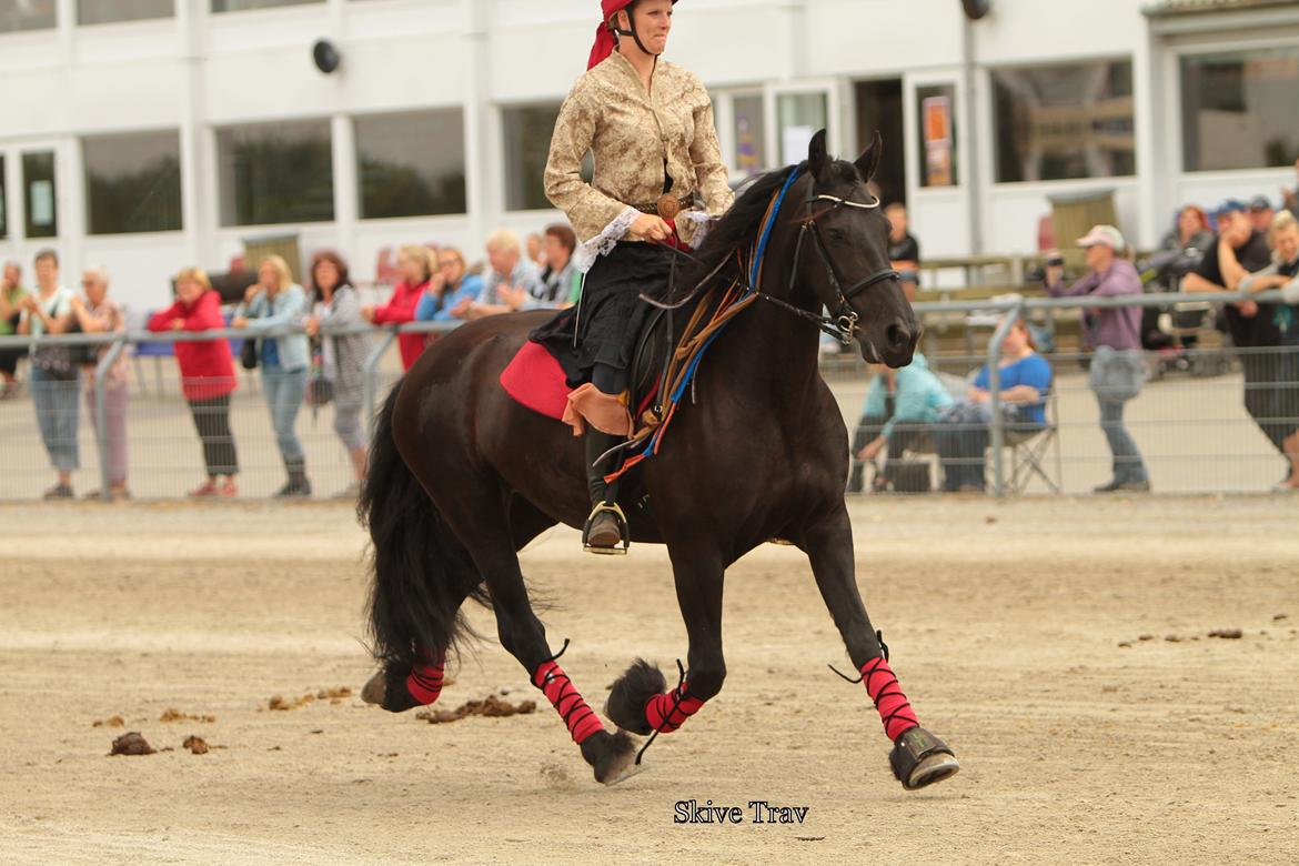 Frieser Tonja billede 15