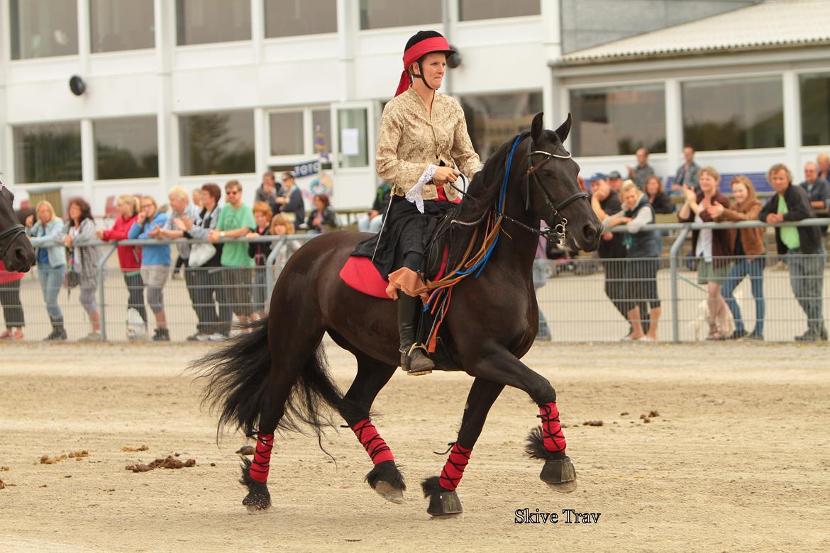 Frieser Tonja billede 16