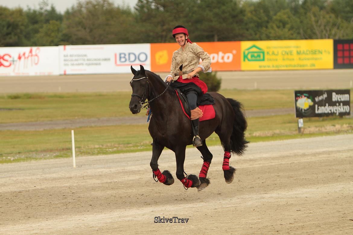 Frieser Tonja - En frisk gallop til slut :D billede 17