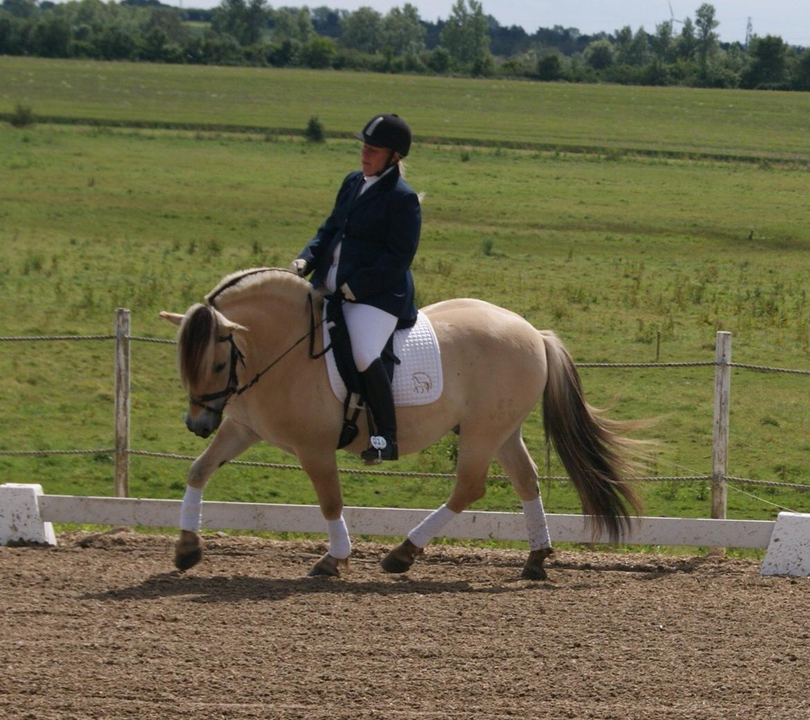 Fjordhest Baune Frølunde *SOLGT* - vores første stævne 13 juli 2012 billede 17