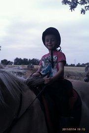 Fjordhest Nella billede 8