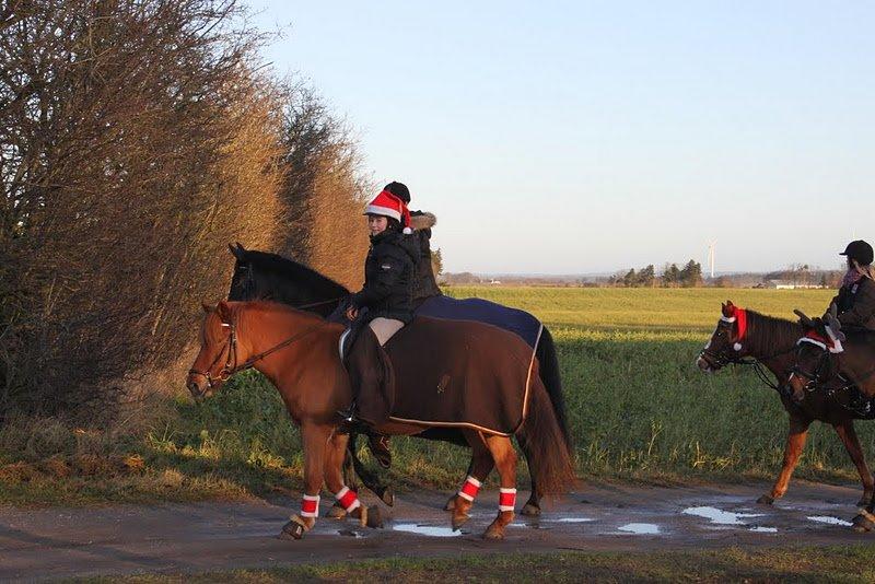 Anden særlig race Chanel - På juletur med pigerne :) billede 16