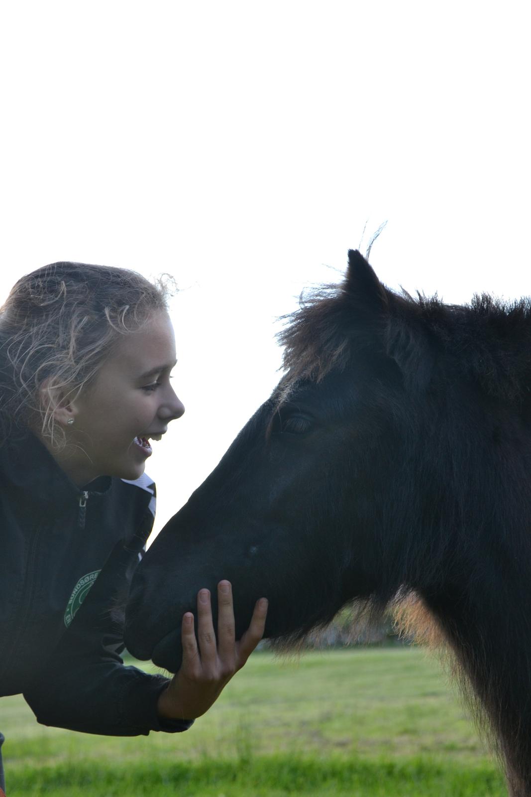 Shetlænder Lakrids - Hi, står lige og snakker med hende! xD
 billede 7