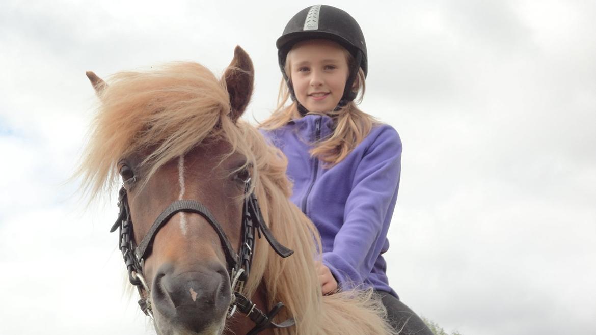 Islænder Nuser  billede 7