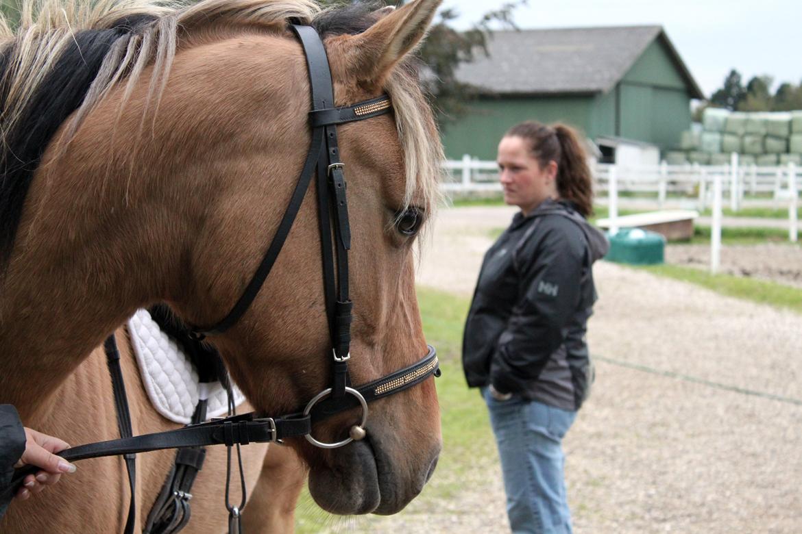 Anden særlig race Manja billede 1