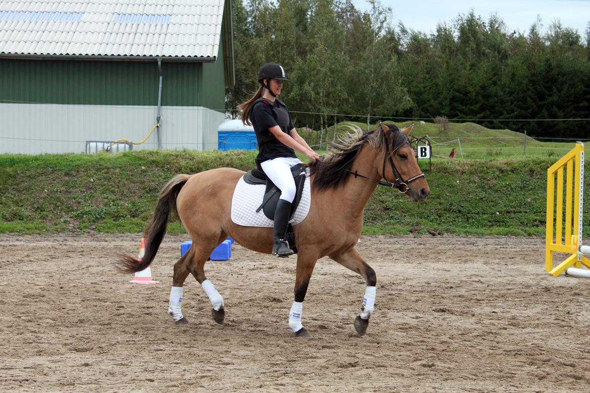 Anden særlig race Manja billede 3