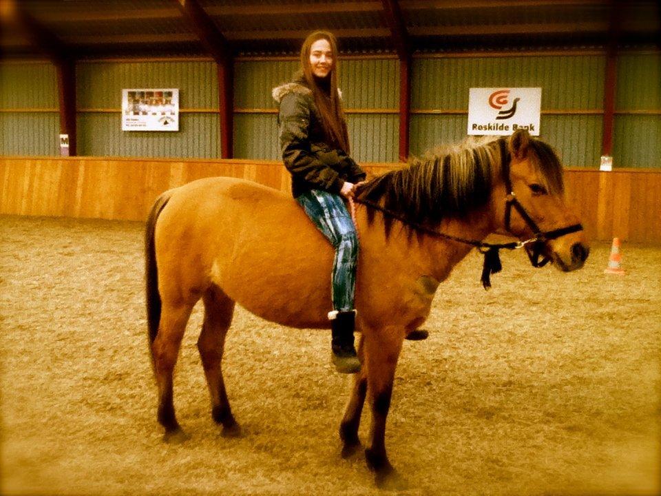 Anden særlig race Manja billede 7