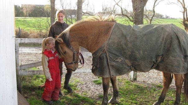 Anden særlig race Manja billede 8