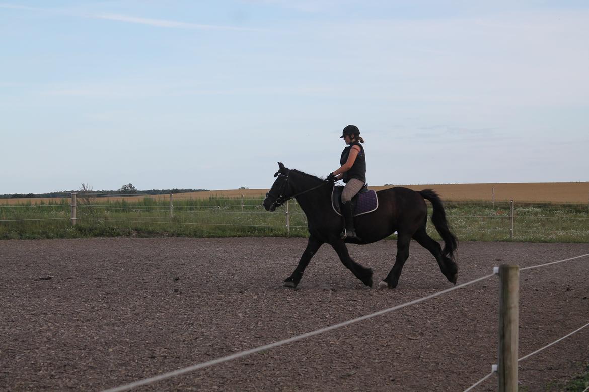 Tinker *Dronning Victoria* billede 6