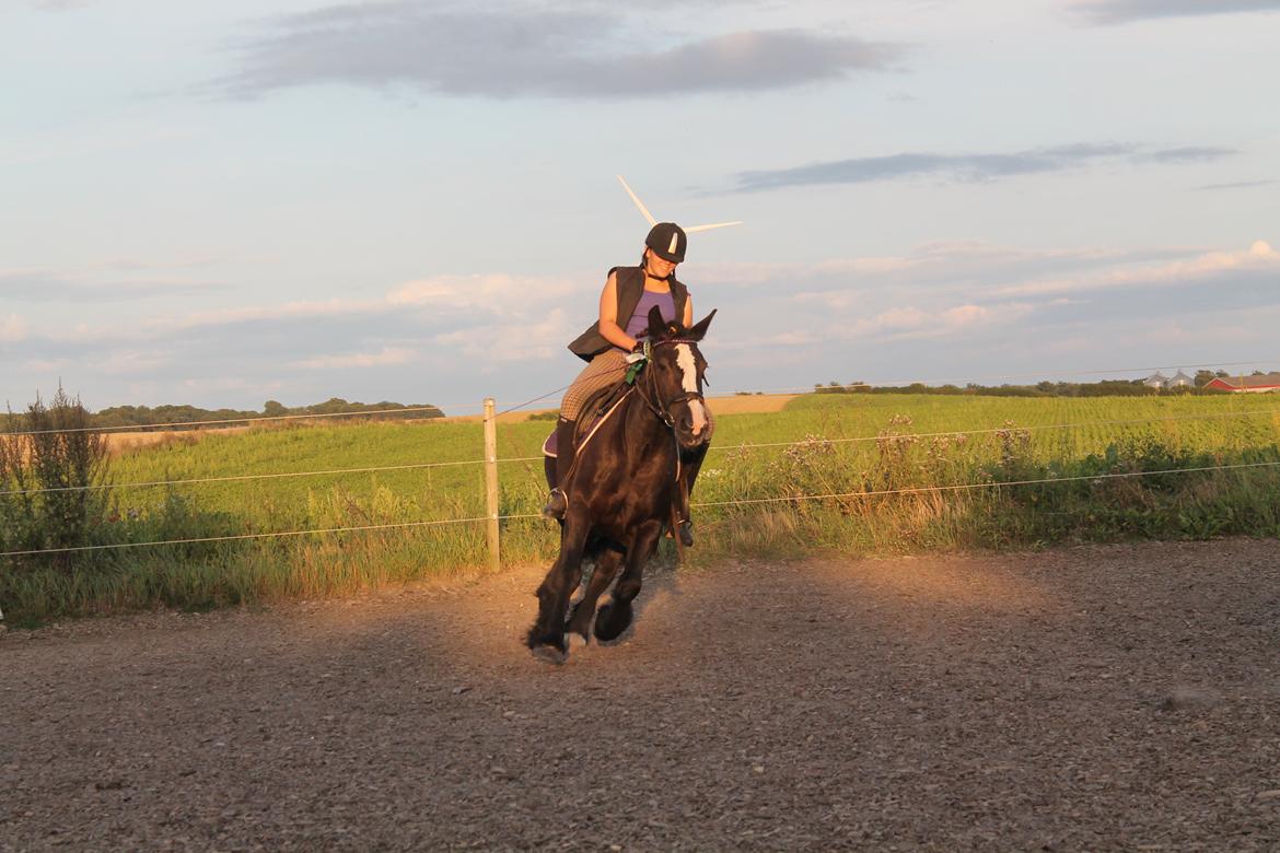 Tinker *Dronning Victoria* - Ære's runde! :D billede 3