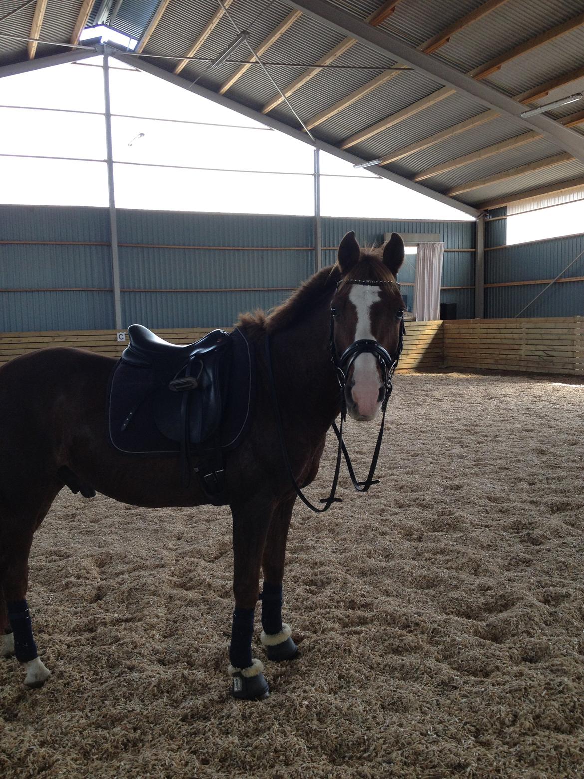 DSP Markant. SOLGT! billede 12