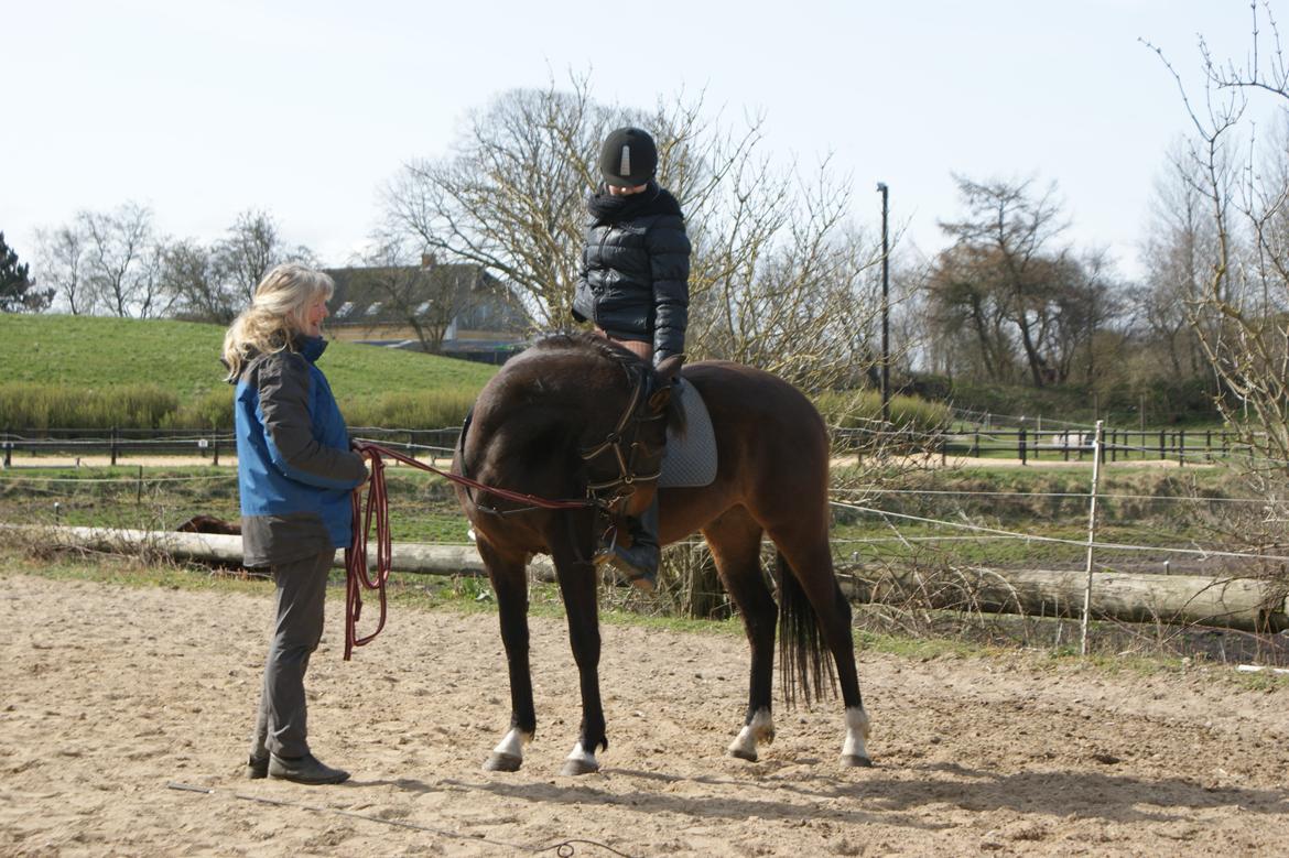 Anden særlig race Bestway of kajenda billede 14