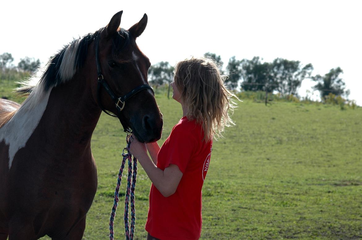 Anden særlig race Spotlight<3 - Spotte og Esther hygger på folden<3 Ridelejr 2012, Taget af Fia Andersson billede 11
