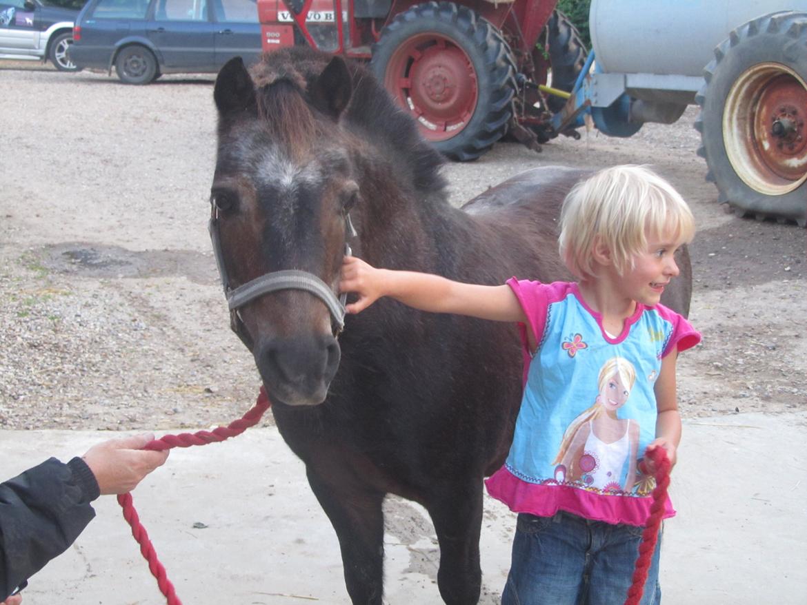 Anden særlig race Filur billede 1
