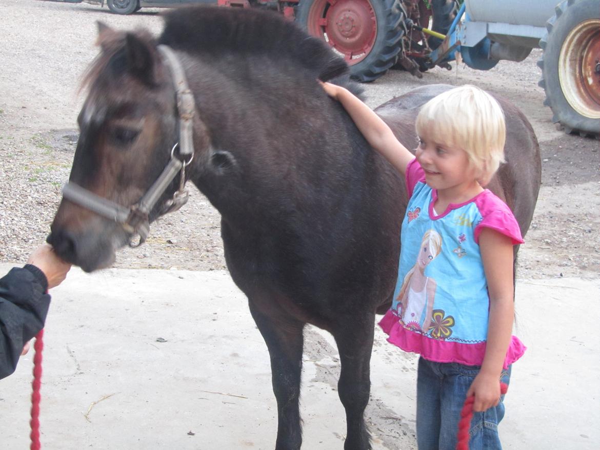 Anden særlig race Filur billede 2