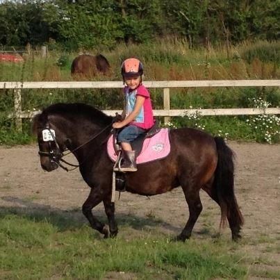 Anden særlig race Filur billede 3