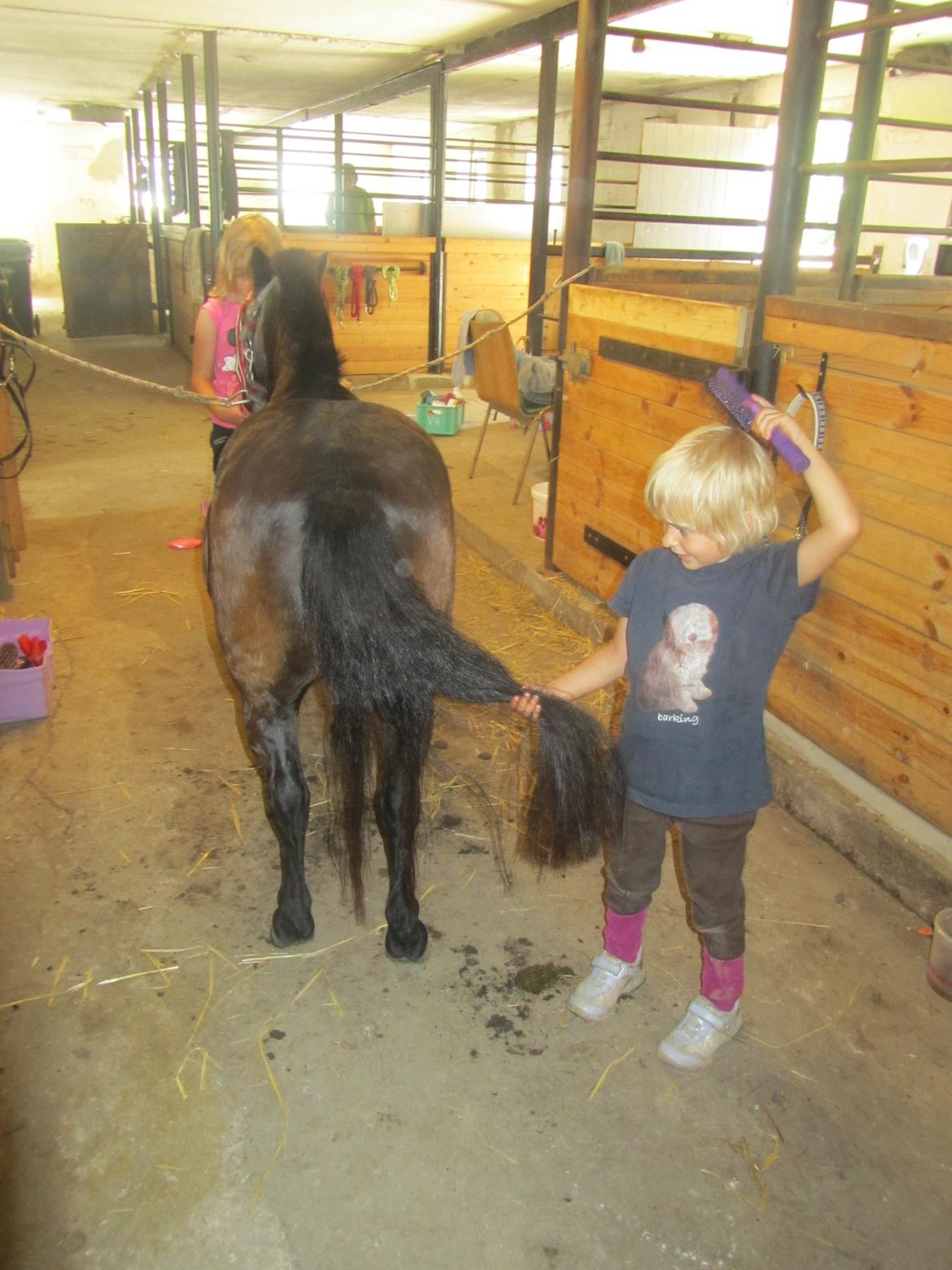 Anden særlig race Filur billede 6