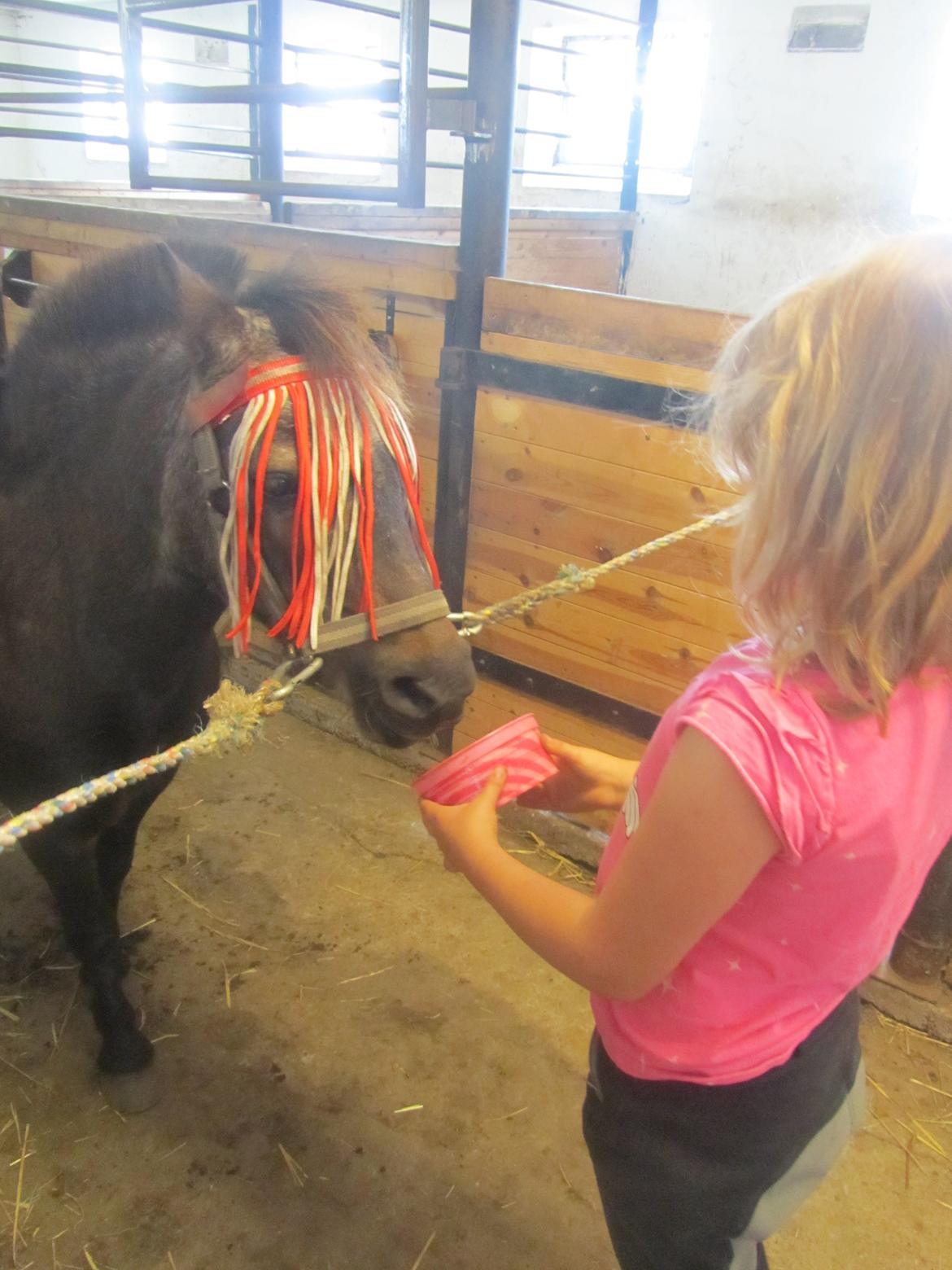 Anden særlig race Filur billede 7