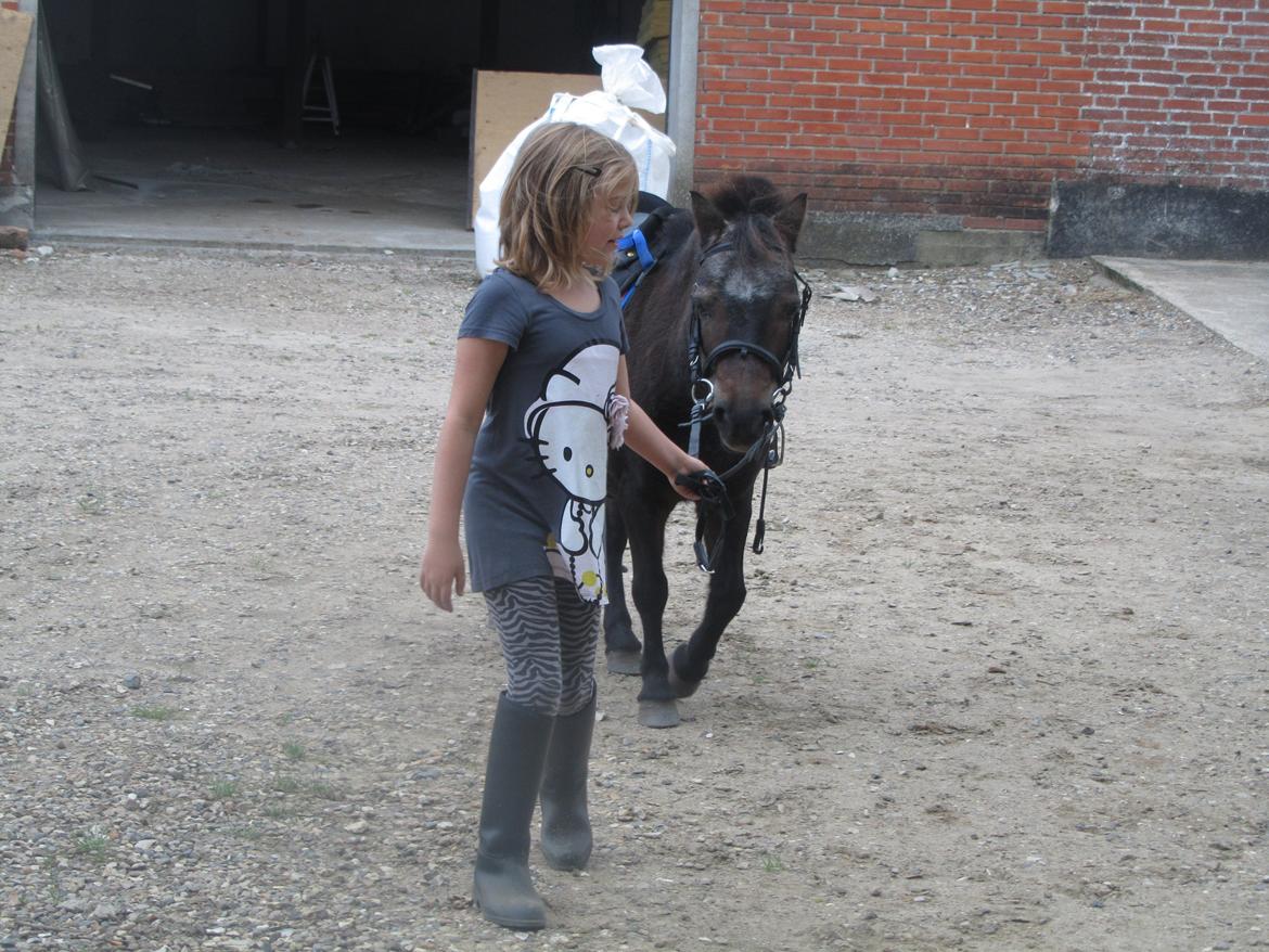 Anden særlig race Filur billede 10