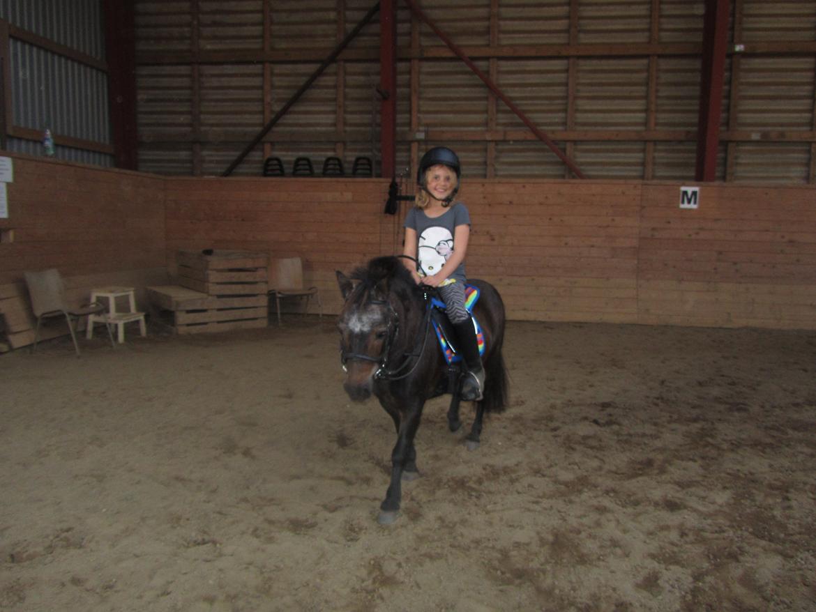 Anden særlig race Filur billede 11