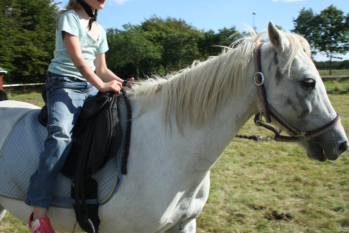 Anden særlig race Miggi billede 13