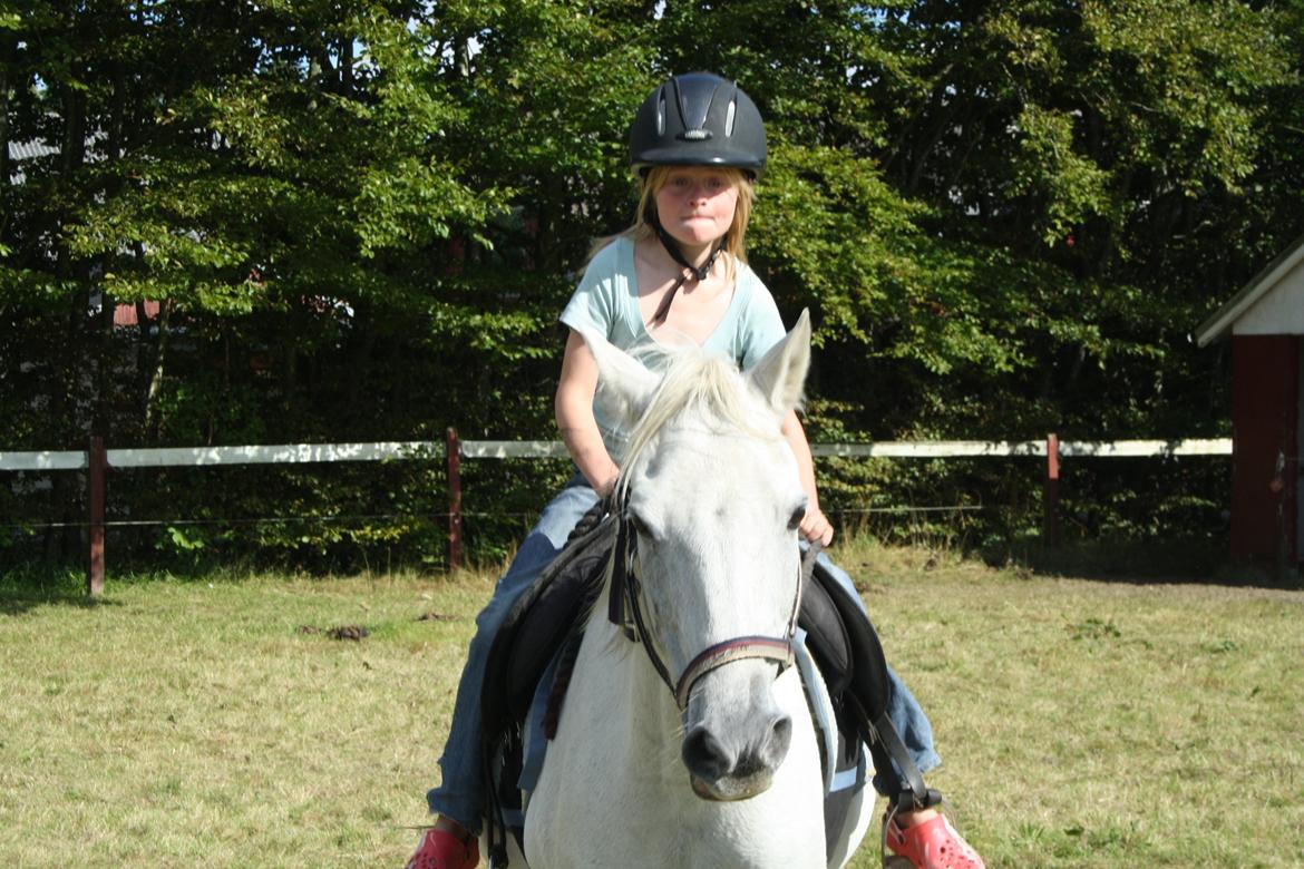 Anden særlig race Miggi billede 14