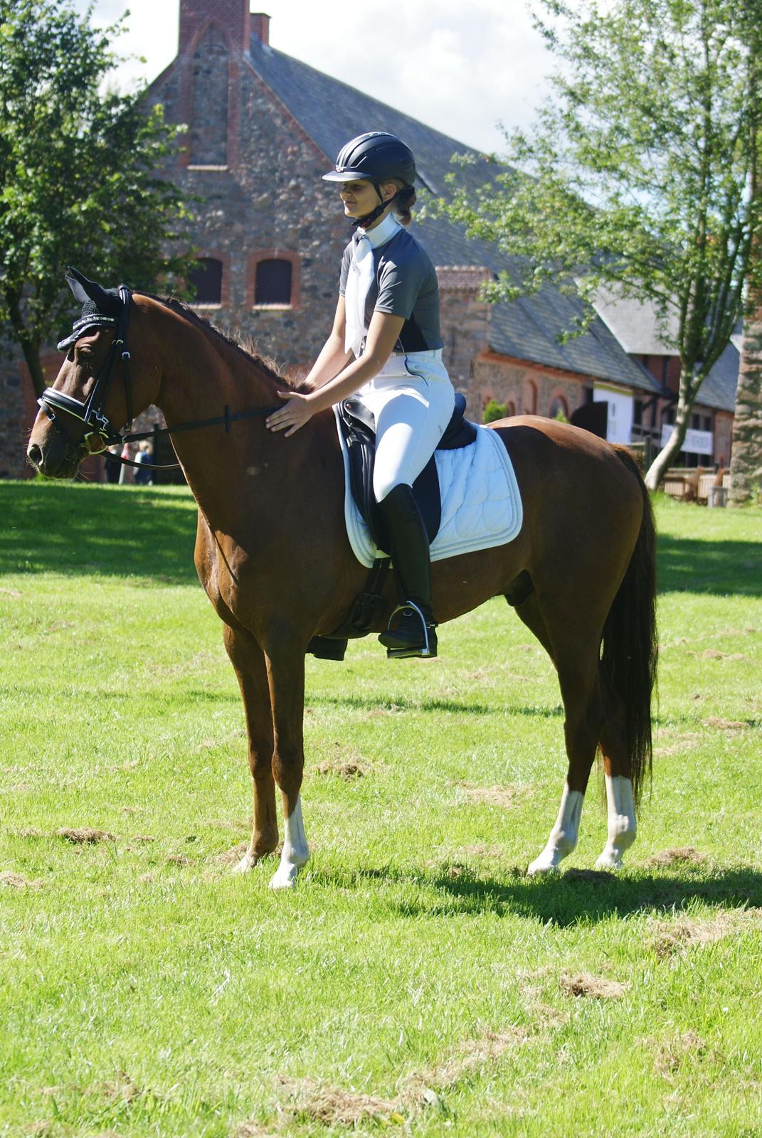 Welsh Partbred (Sec F) De Wijk's Aislin B PONY - Wilhelmsborg 11 aug 2012 <3 billede 14