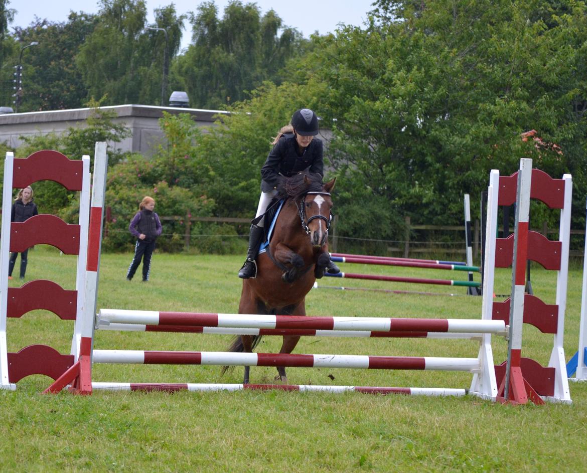 Hollandsk Sportspony no fear - Pony-uge 2012
Dejligt at jeg måtte låne den skynde No Fear!<3 billede 8
