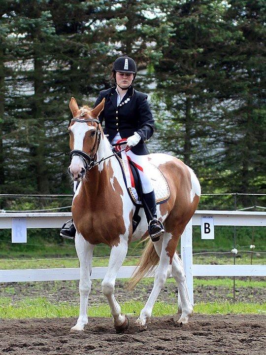 Pinto Metrik - Kan du så få den røde blafrende tingest væk fra mig!!! Foto: Pia Lundberg billede 15