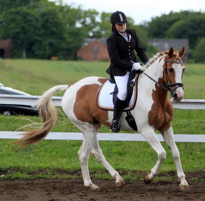 Pinto Metrik - Metrik's første stævne på Revelhøj :) Foto: Pia Lundberg billede 16