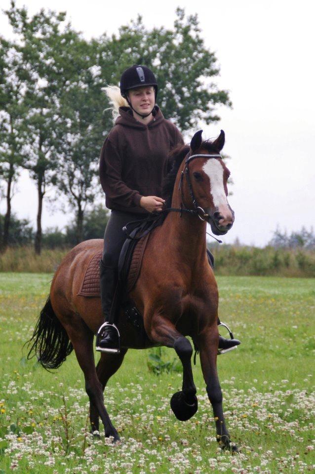 Anden særlig race Lady - På tur <3

Fotograf: Sara Lohmann billede 6