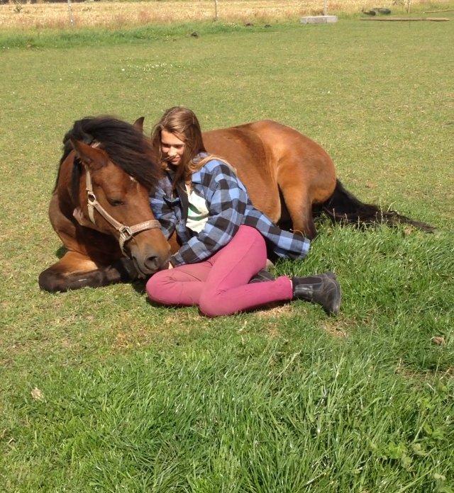 New Forest Tequila Sunrise billede 3