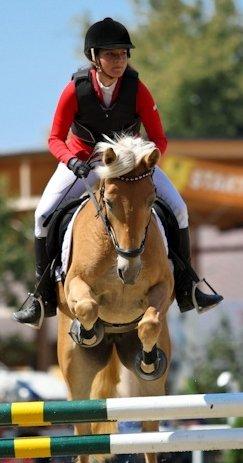 Haflinger Nordan`s Aurora *EM GULD* - EM billede 18