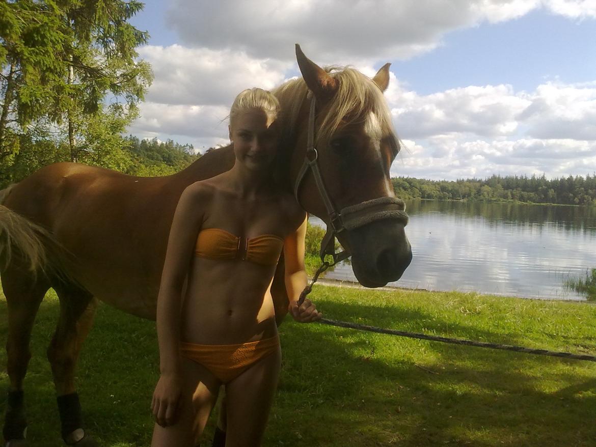 Welsh Cob (sec D) | Kiding Game On  **SOLGT** - Lige inden Sille og jeg besluttede os for at hoppe i søen.. uden hestene <3 billede 19