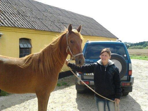 Anden særlig race ribergaards cassio billede 1