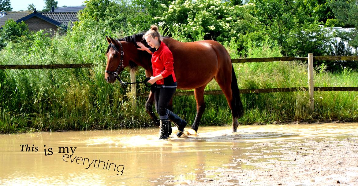 Anden særlig race TASJA - This is my eveything. 
- 23 juni 2012. <3 billede 5