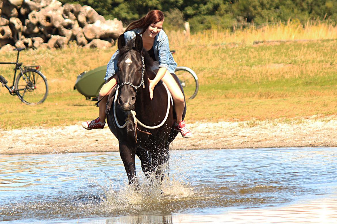 Oldenborg Felix - Velkommen til Felix <3
det her billede blev taget den sidste dag jeg havde med ham inden jeg skulle på efterskole <3 billede 1