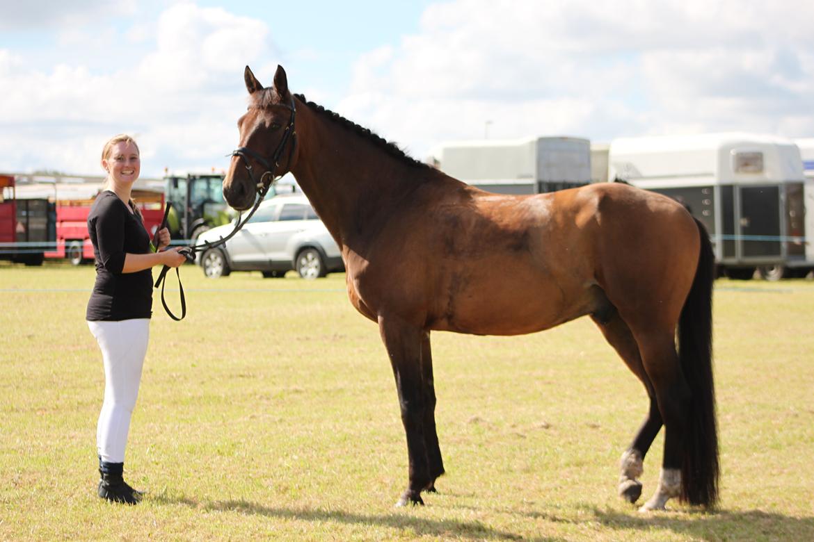 Anden særlig race Countdown - Aulum Dyrskue (august 2012) billede 11