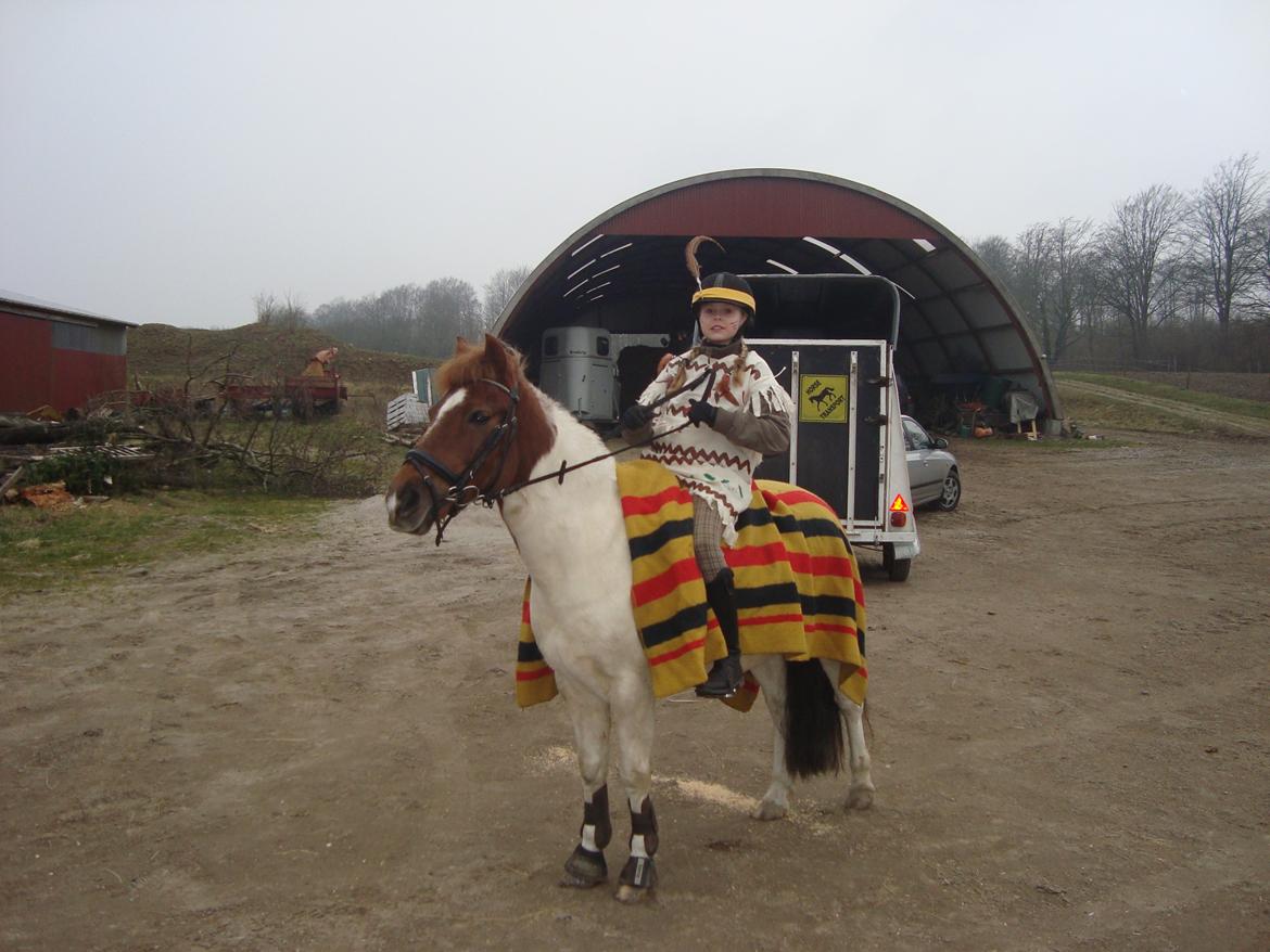 Anden særlig race Zindy - Kaja og zindy til fastelavnsridning. Udklædt som indianer. :) billede 20