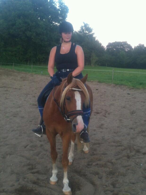 DSP De Flax - mig der rider lidt på flax, sommer 2012 billede 9